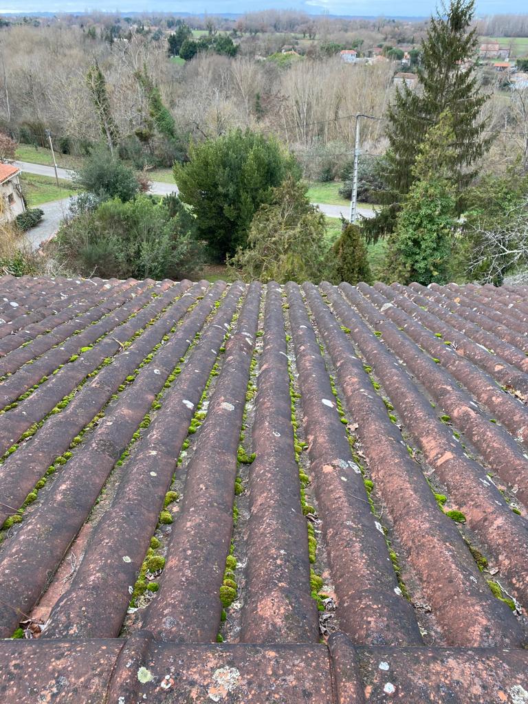 AD-Renovation-Entretien01